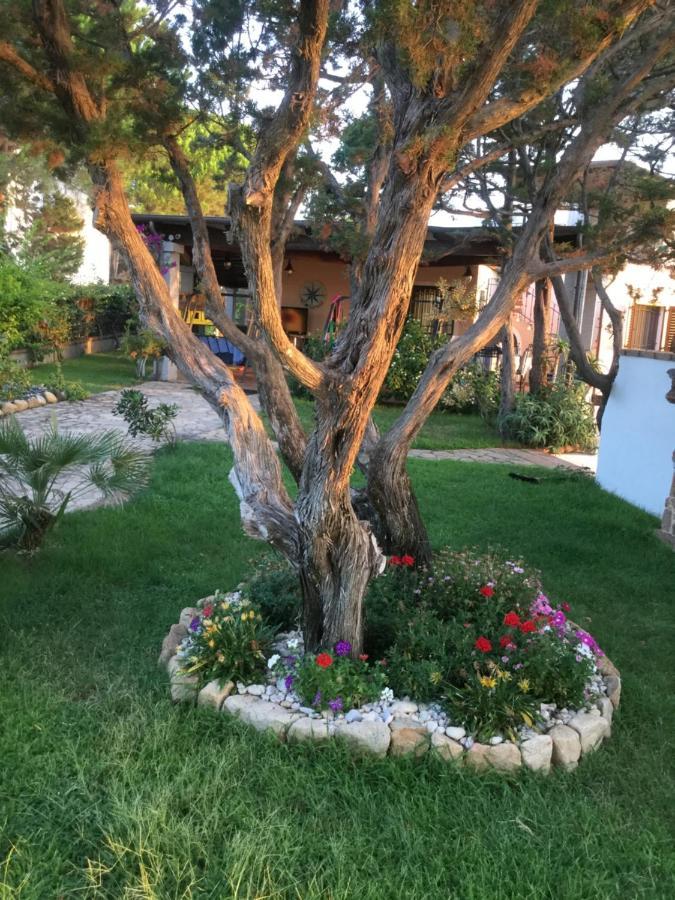 Villa Edo Cala Liberotto Eksteriør bilde